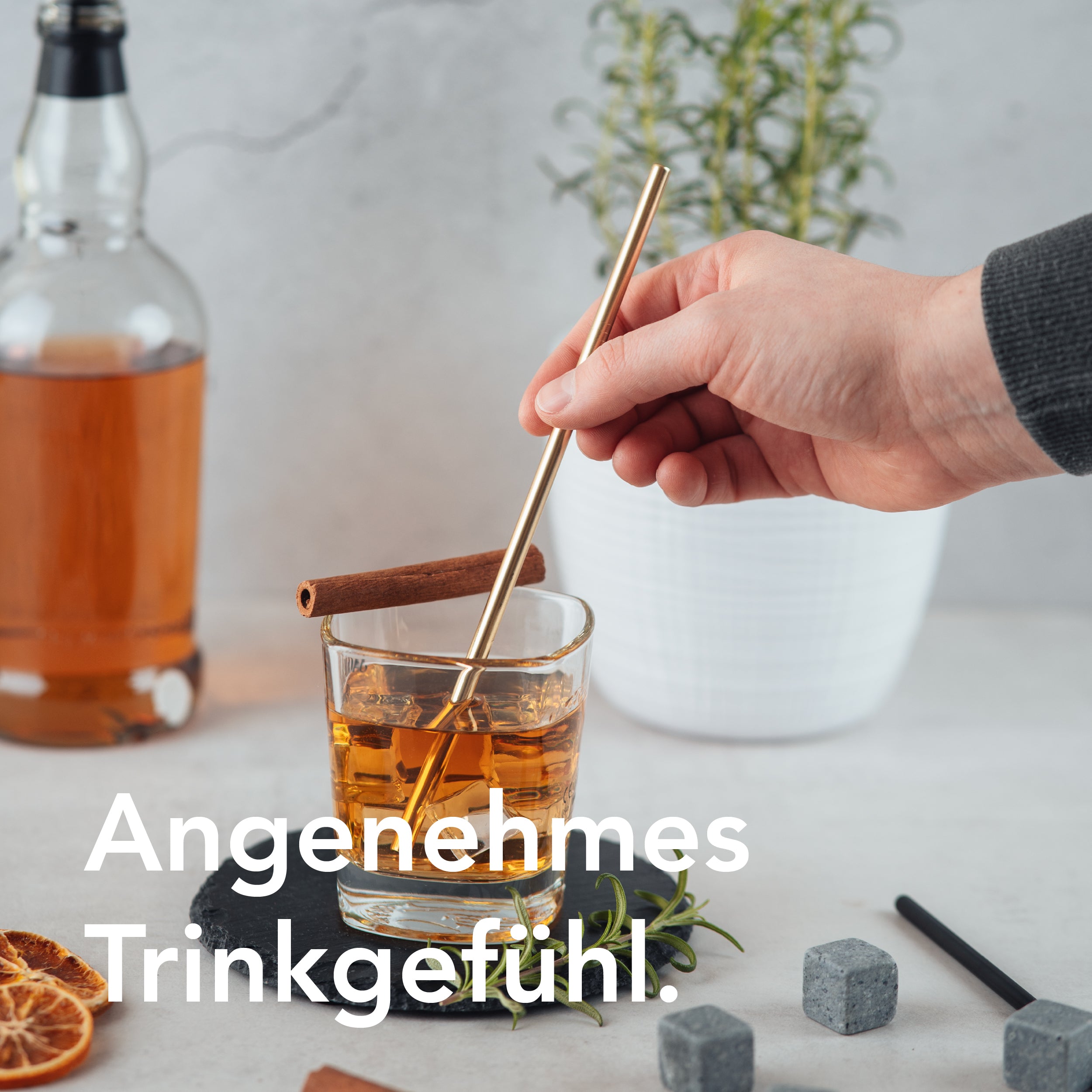 Premium Edelstahl-Trinkhalme 6er-Set mit Reinigungsbürste (matt-gold)