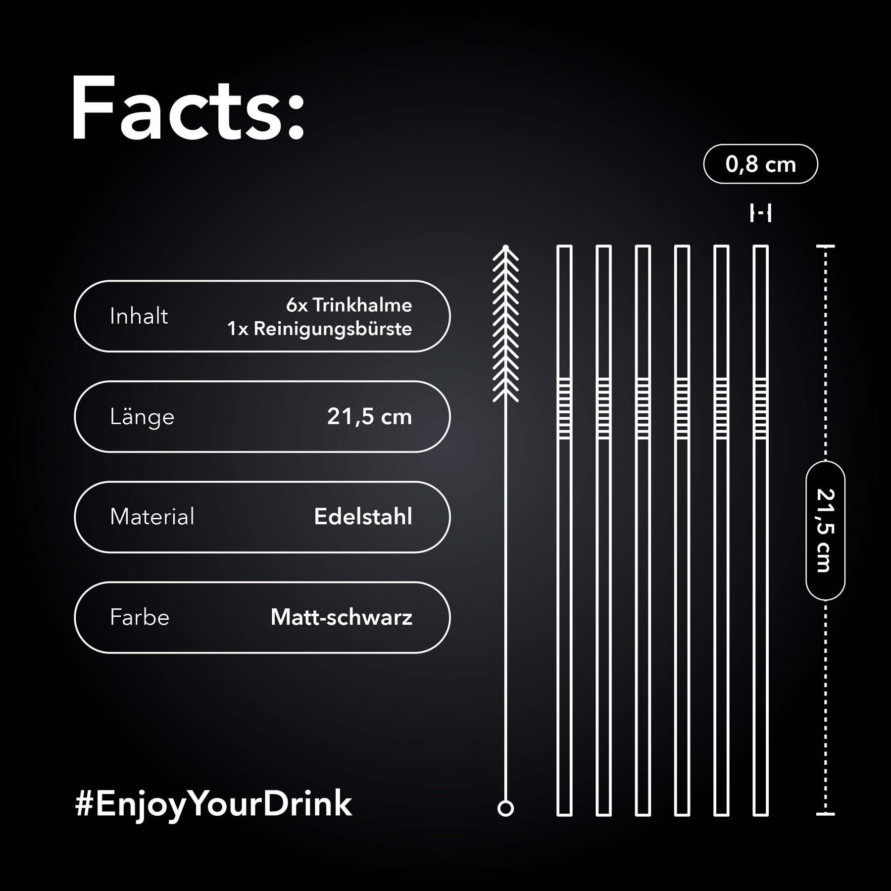 Premium Edelstahl-Trinkhalme 6er-Set mit Reinigungsbürste (matt-schwarz)